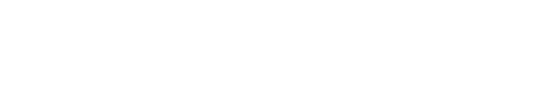 LP_lightrun_logo